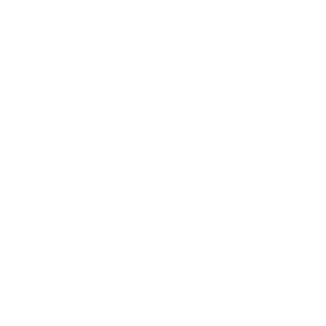 Consorcio Bisa